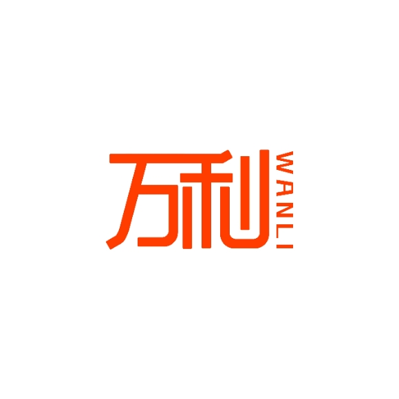 <b>广西万利财税管理有限公司</b>